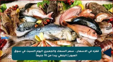قفزة في الأسعار.. سعر السمك والجمبري اليوم السبت في سوق العبور | البلطي يبدأ من 70 جنيهاً